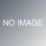 本製品60本入り（規格あり）